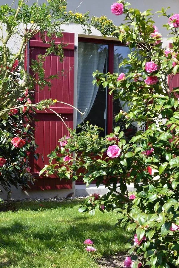 Bed and Breakfast Le Tertre Gatinais à Saint-Briac-sur-Mer Couette-café